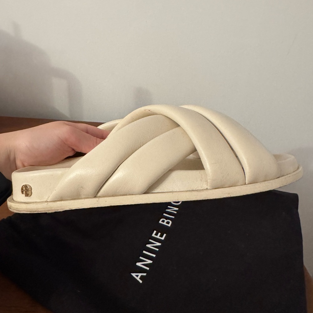 Anine Bing Lizzie slides sandals